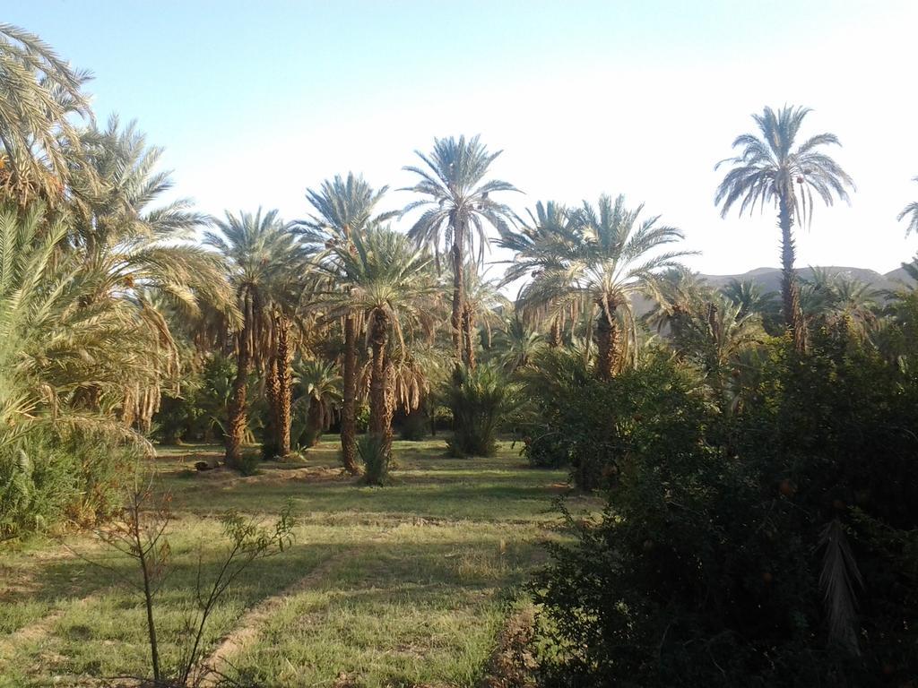 Kasbah Itrane Bed & Breakfast Tamnougalt Exterior foto