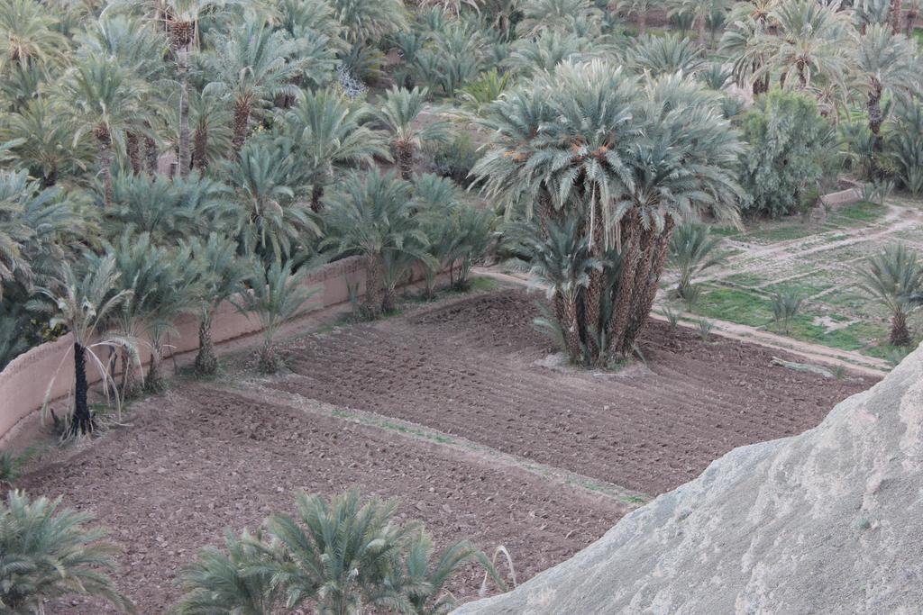 Kasbah Itrane Bed & Breakfast Tamnougalt Exterior foto